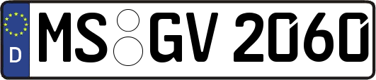 MS-GV2060