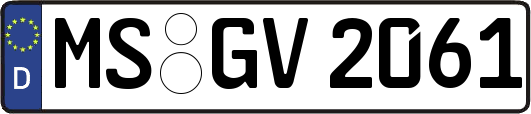 MS-GV2061