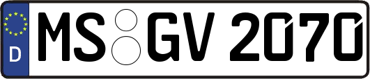MS-GV2070
