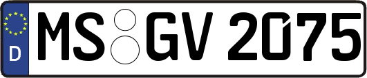 MS-GV2075