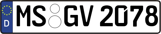 MS-GV2078