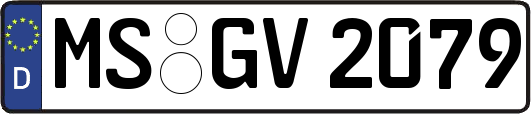 MS-GV2079