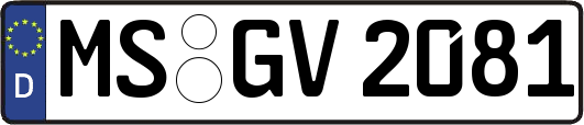 MS-GV2081