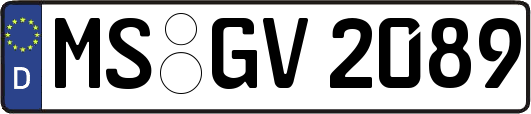 MS-GV2089