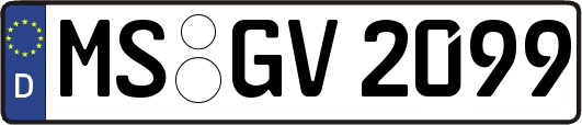 MS-GV2099