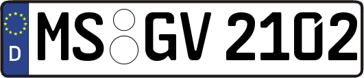 MS-GV2102