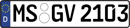 MS-GV2103