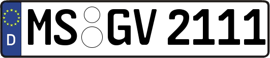 MS-GV2111