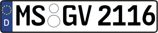 MS-GV2116