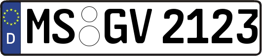 MS-GV2123