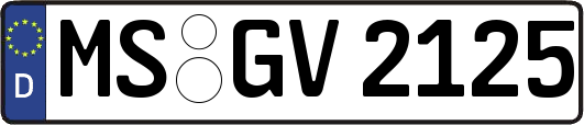 MS-GV2125