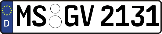 MS-GV2131