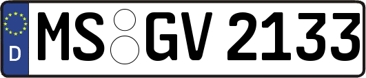 MS-GV2133