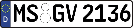 MS-GV2136