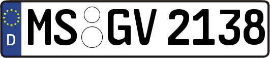 MS-GV2138