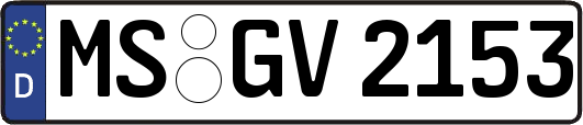 MS-GV2153