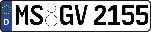 MS-GV2155