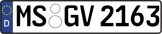 MS-GV2163