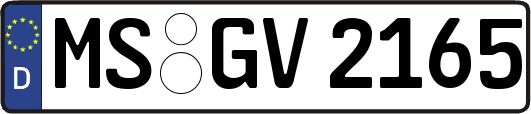 MS-GV2165