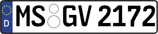MS-GV2172