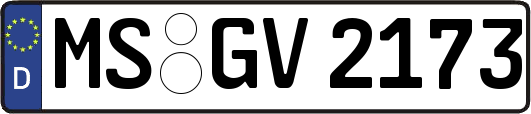 MS-GV2173
