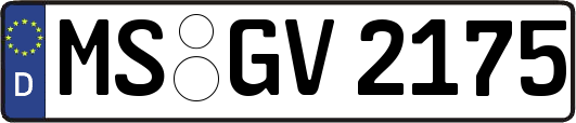 MS-GV2175