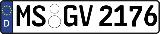 MS-GV2176