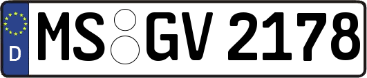 MS-GV2178