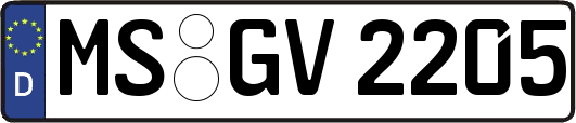 MS-GV2205