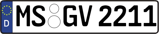 MS-GV2211