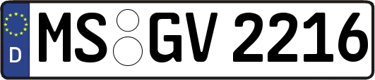 MS-GV2216