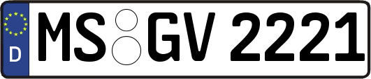MS-GV2221