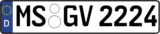 MS-GV2224