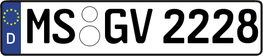 MS-GV2228