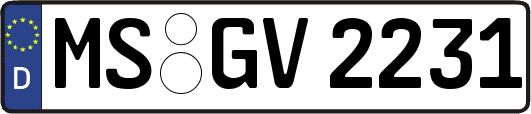 MS-GV2231