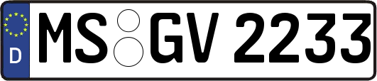 MS-GV2233