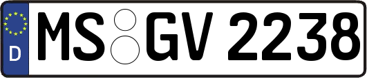 MS-GV2238