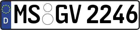 MS-GV2246