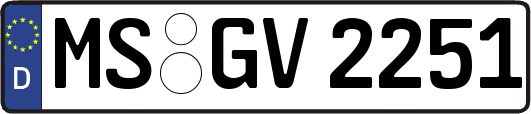 MS-GV2251
