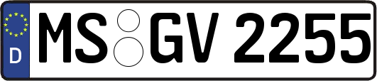 MS-GV2255
