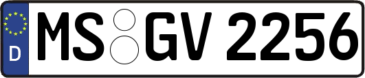 MS-GV2256