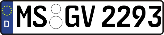 MS-GV2293