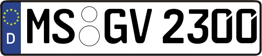 MS-GV2300