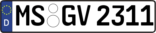 MS-GV2311
