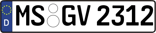 MS-GV2312