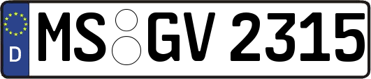 MS-GV2315