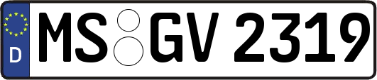 MS-GV2319
