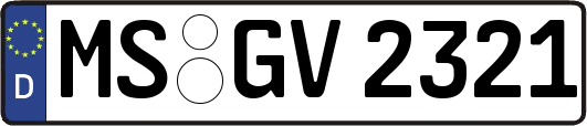 MS-GV2321
