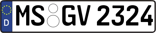 MS-GV2324