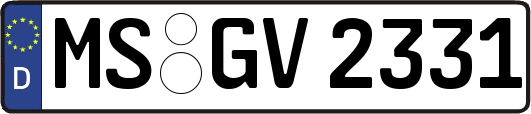 MS-GV2331